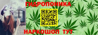 тгк Краснокаменск