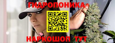 эйфоретик Краснознаменск