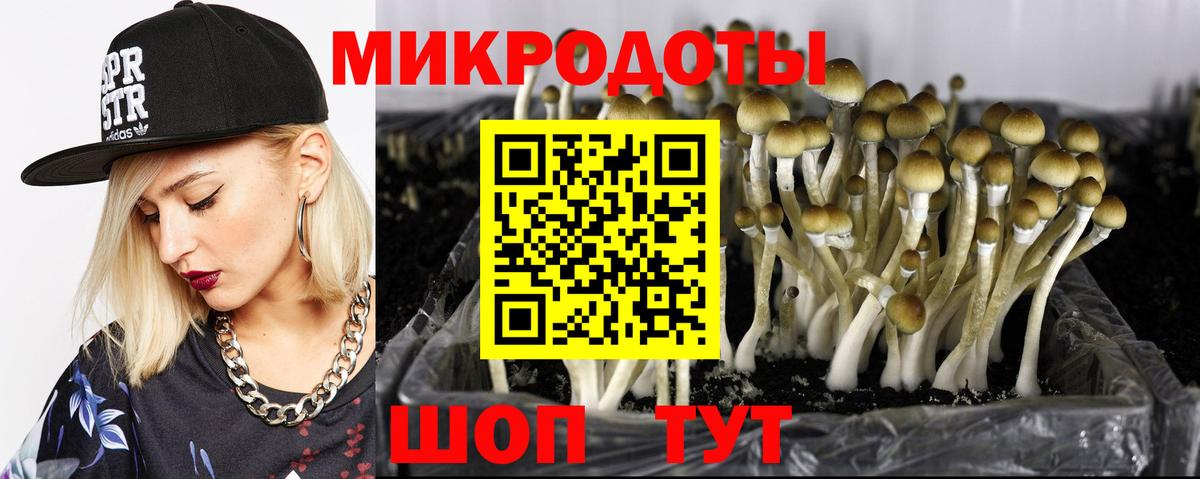 Галлюциногенные грибы Psilocybe  Вход с VPN  продажа наркотиков  Каменск-Уральский  Псилоцибиновые грибы GOLDEN TEACHER 